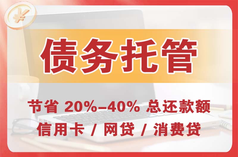 大理市债务托管